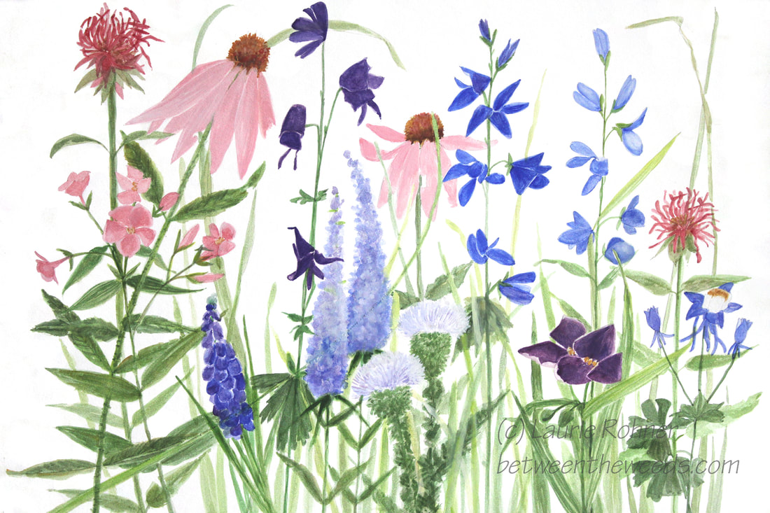 wildflowers watercolor painting by Laurie Rohner