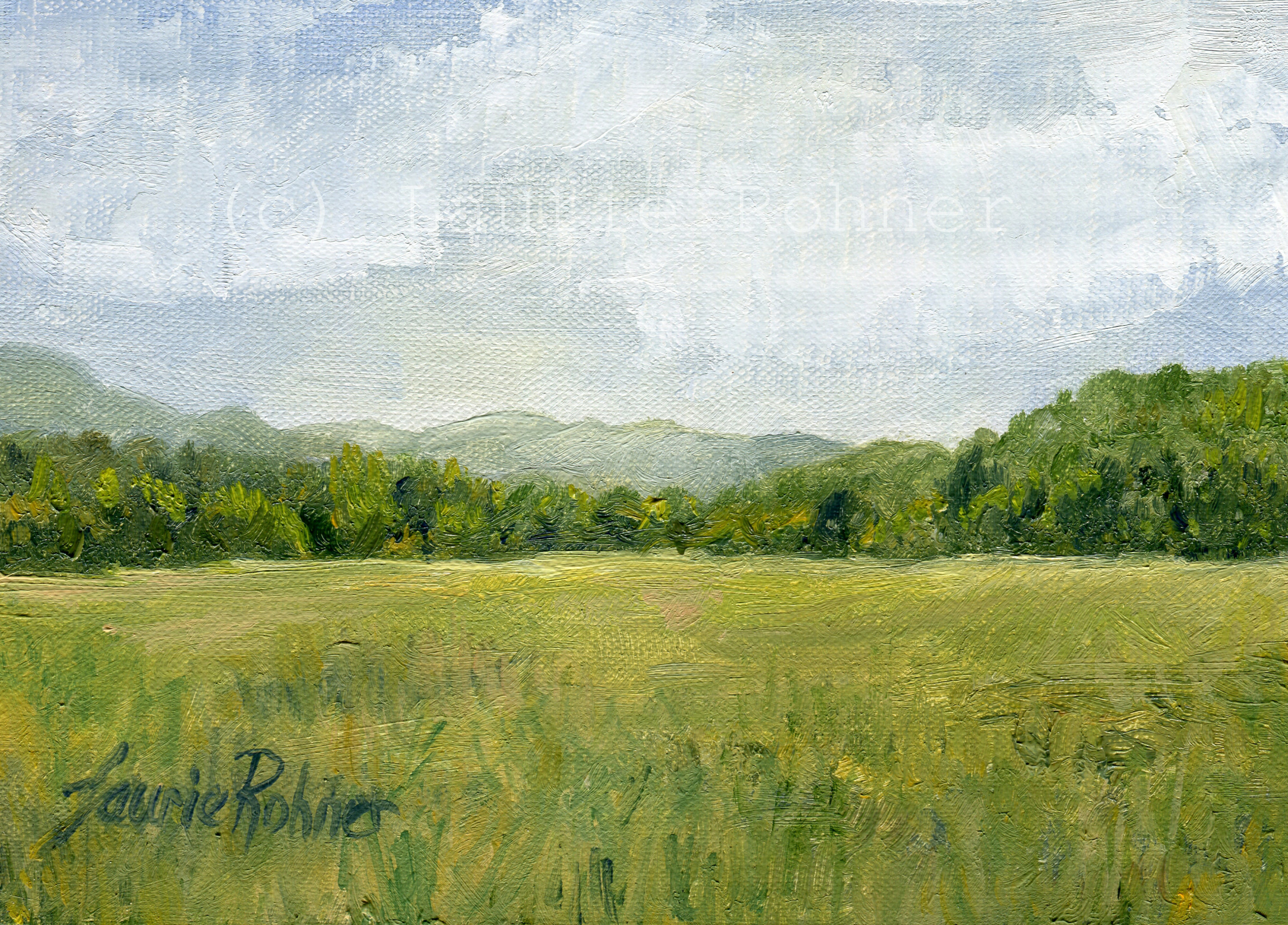 Oil ORIGINAL Painting Landscape Vermont Fields Pasture Mountains Sky